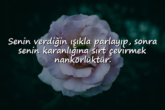 resimli nankör sözler - 6