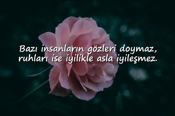 resimli nankörlere sözler - 16