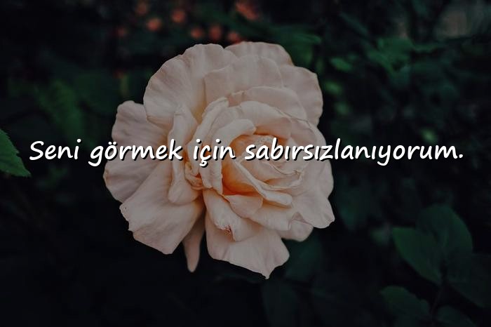 resimli özlem sözleri - 6