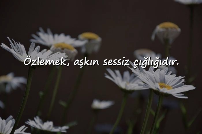 resimli özlem sözleri - 21