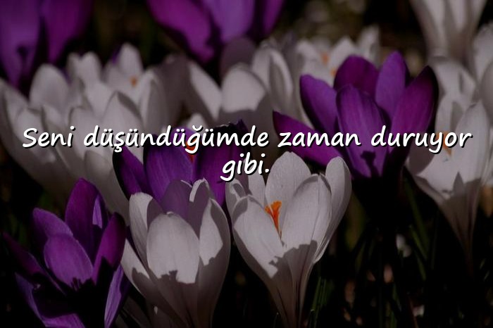 resimli özlem sözleri - 16