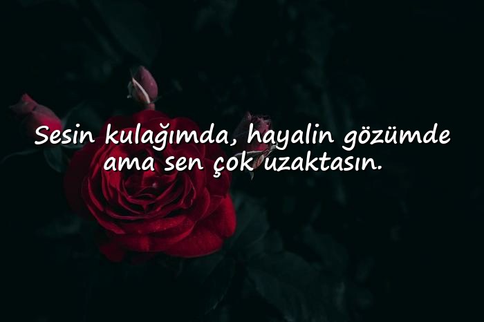resimli özlemek ile ilgili sözler - 11