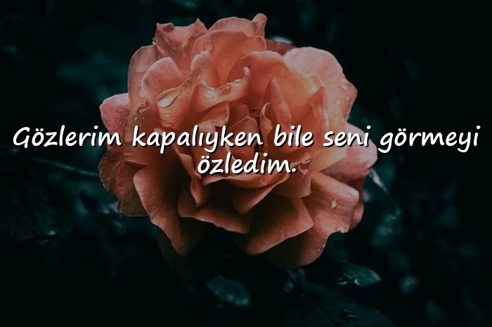 resimli özlemek ile ilgili sözler - 6