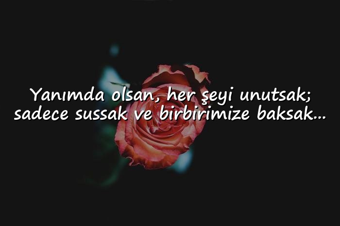 resimli özlemek ile ilgili sözler - 16