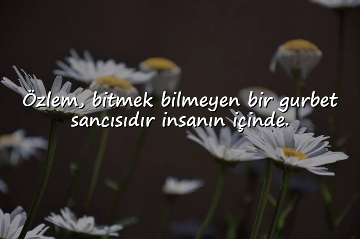 resimli özlemek ile ilgili sözler - 11