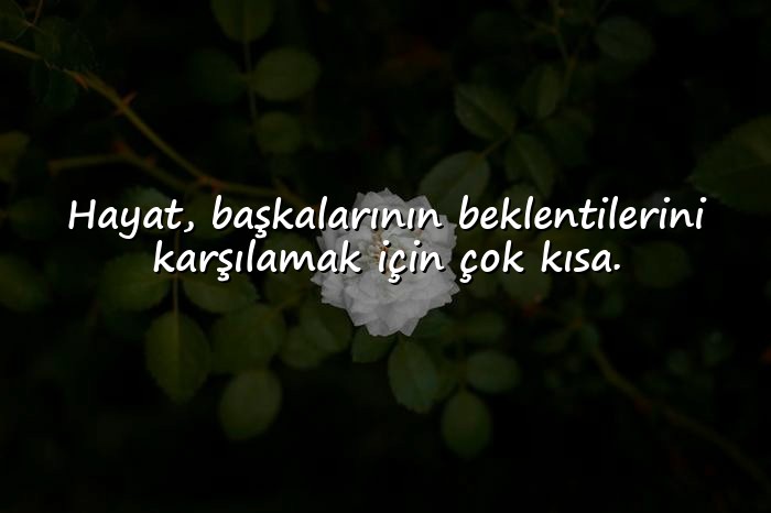 resimli Özlü Sözler - 5