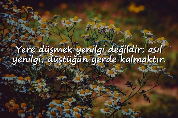 resimli Özlü Sözler - 20