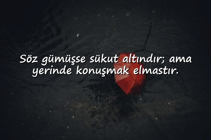 resimli Özlü Sözler - 15