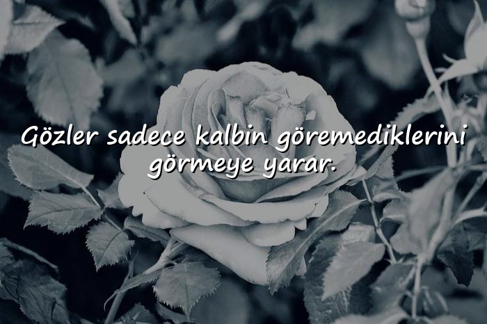 resimli Özlü Sözler - 10
