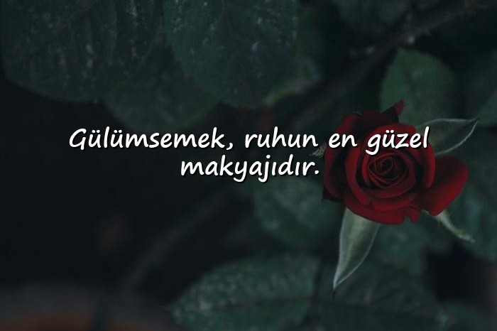 resimli Özlü Sözler - 5
