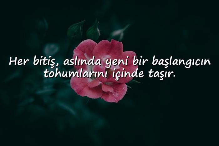 resimli Özlü Sözler - 1