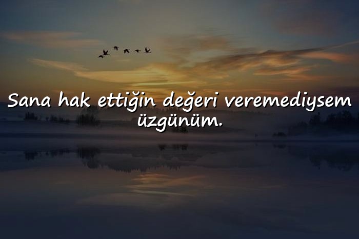 resimli özür mesajı sevgiliye - 25