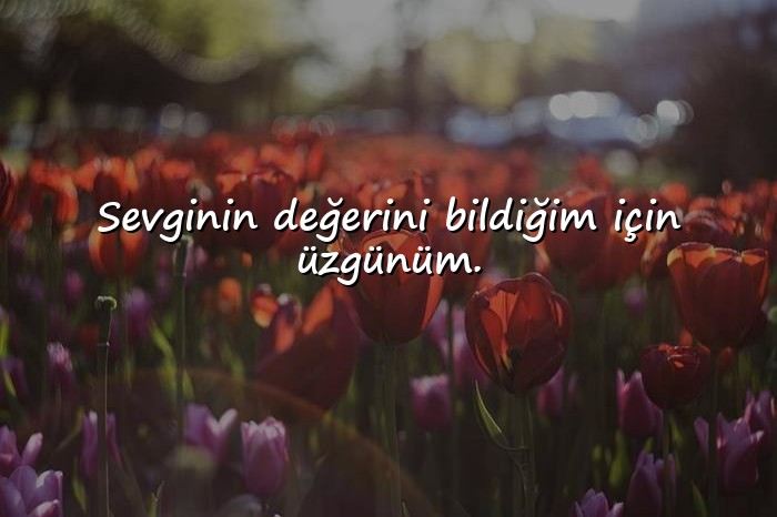 resimli özür mesajı sevgiliye - 20