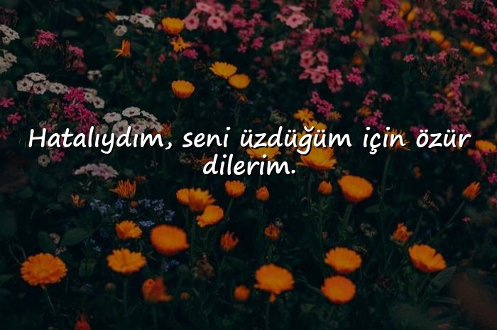 resimli özür mesajı sevgiliye - 15