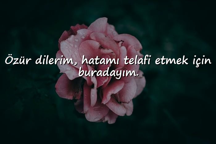 resimli özür mesajı sevgiliye - 10