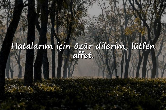 resimli özür mesajı sevgiliye - 1