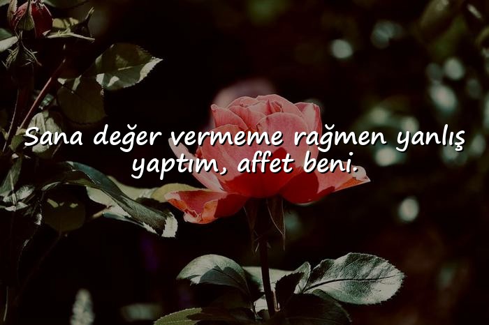 resimli özür mesajları	 - 6