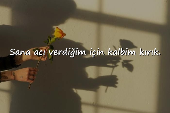 resimli özür mesajları	 - 1