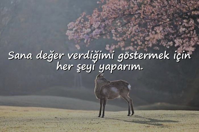 resimli özür mesajları	 - 21