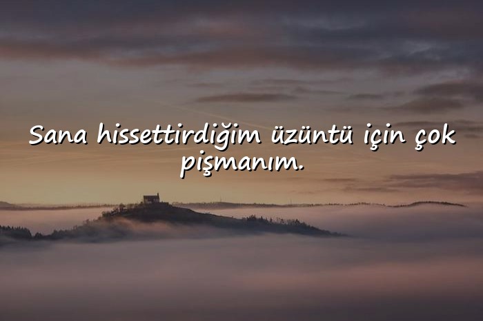 resimli özür mesajları	 - 16