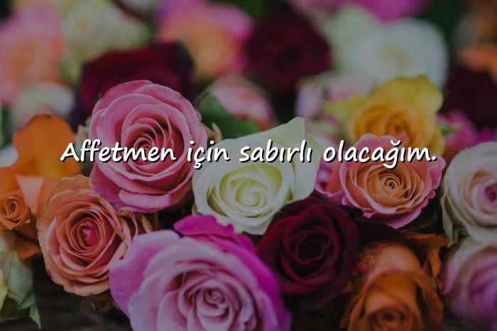 resimli özür mesajları	 - 11