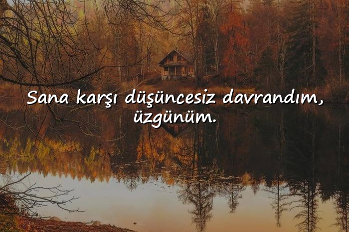resimli özür mesajları	 - 6