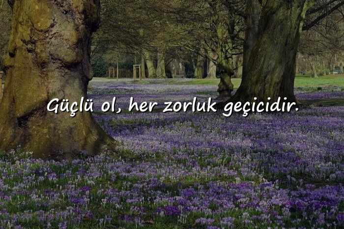 resimli pozitif sözler - 6