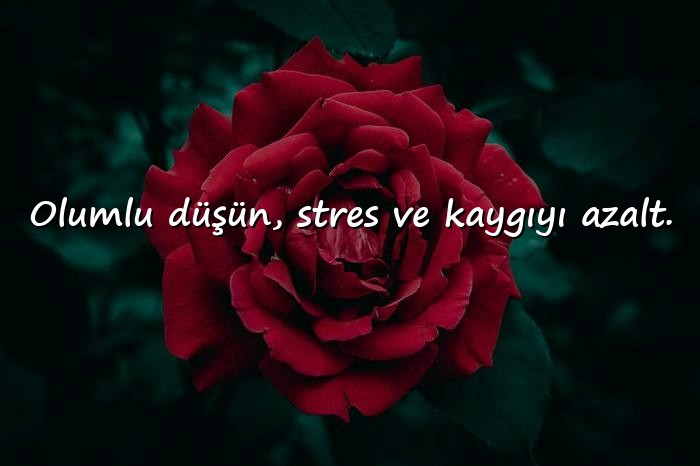 resimli pozitif sözler - 6