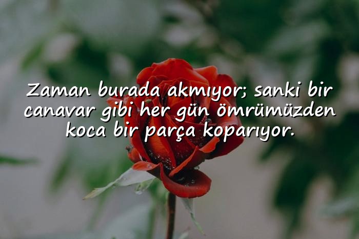 resimli racon sözler - 16