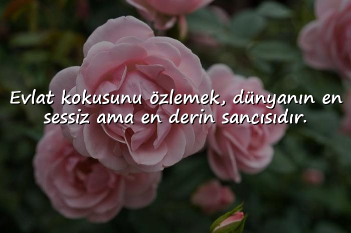 resimli racon sözler - 6