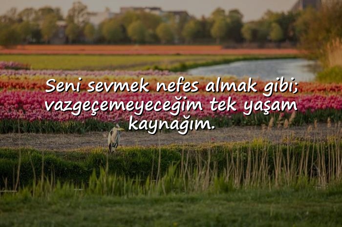 resimli romantik aşk sözleri - 3