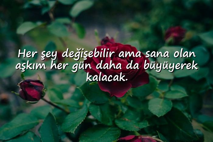 resimli romantik aşk sözleri - 23