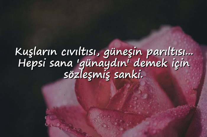 resimli romantik günaydın mesajları - 21