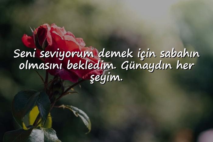 resimli romantik günaydın mesajları - 1
