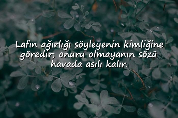 resimli şerefsizlere sözler - 21