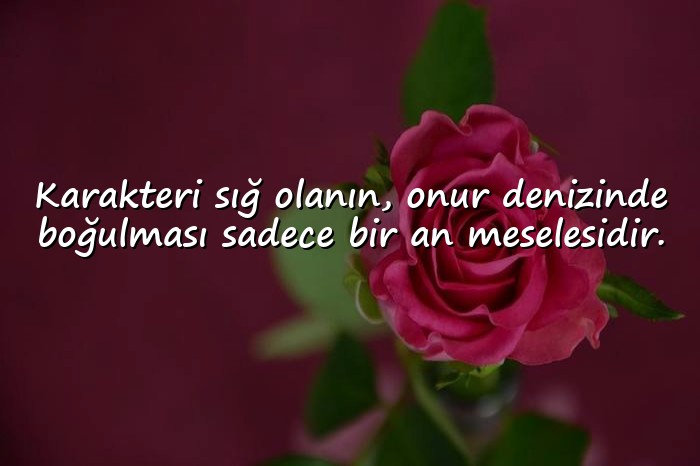 resimli şerefsizlere sözler - 16