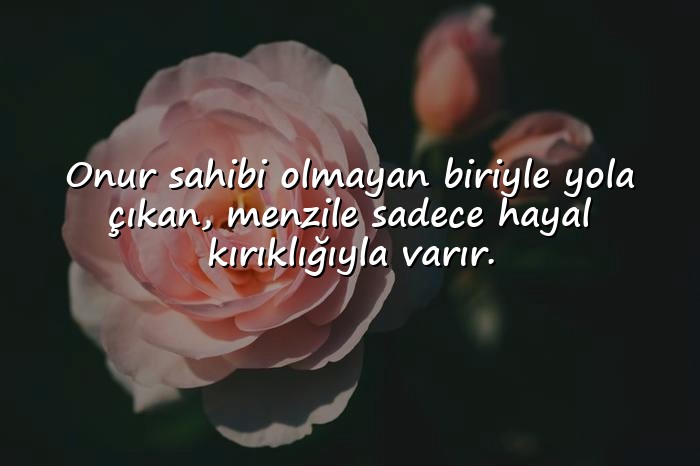 resimli şerefsizlere sözler - 11