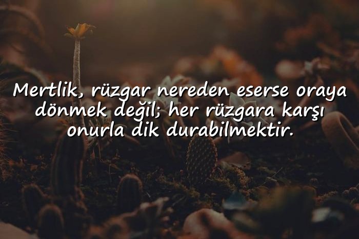 resimli şerefsizlere sözler - 6