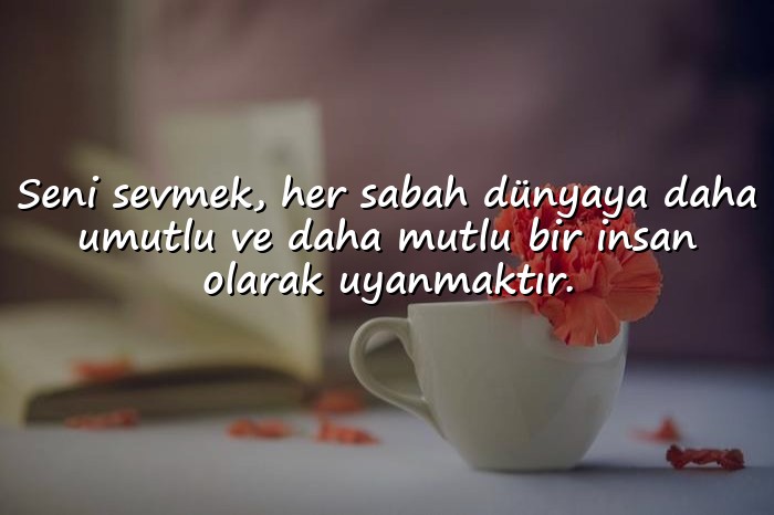 resimli sevdiğine güzel sözler - 8