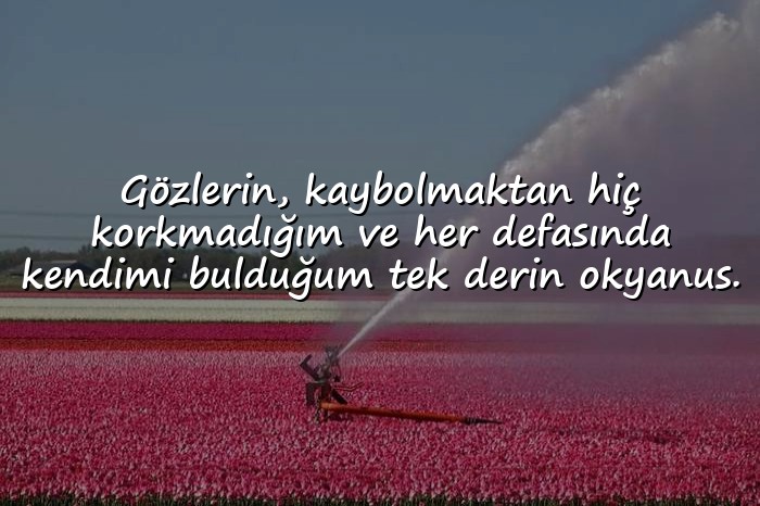 resimli sevdiğine güzel sözler - 3
