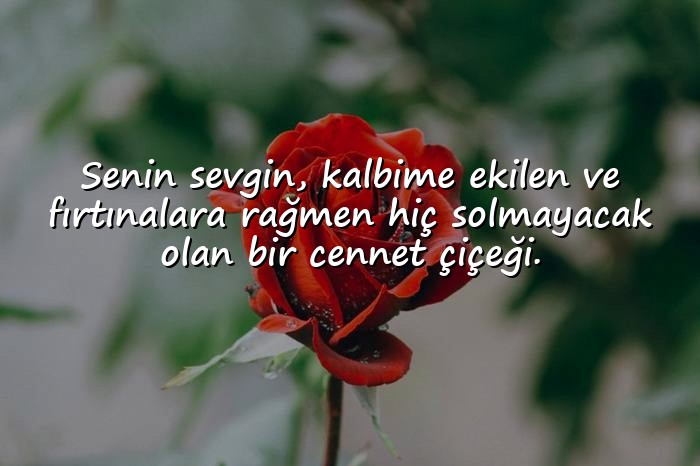 resimli sevdiğine güzel sözler - 23