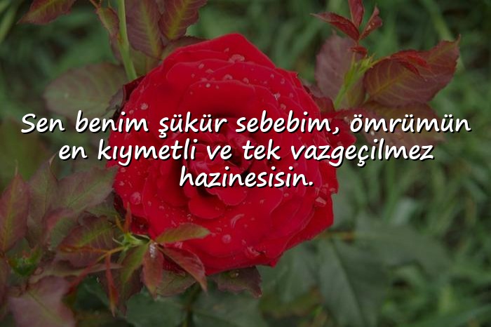 resimli sevdiğine güzel sözler - 13