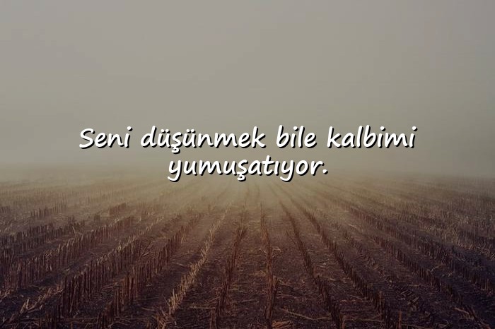 resimli sevgi ile ilgili sözler - 7