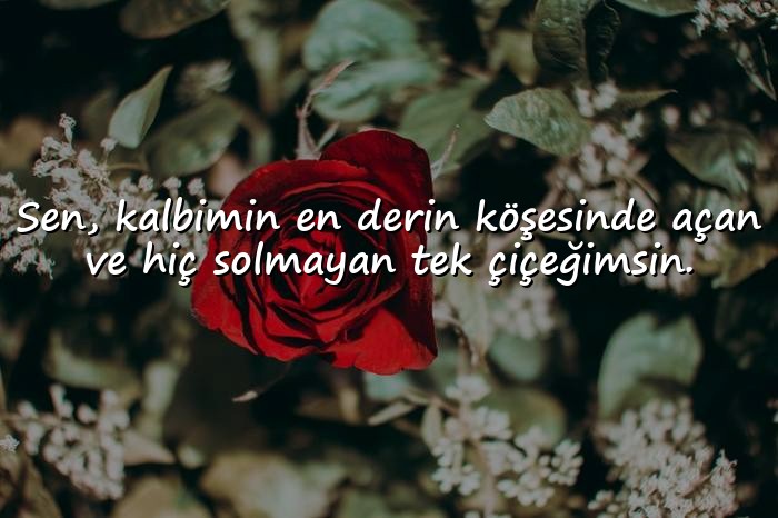 resimli sevgi sözleri - 1