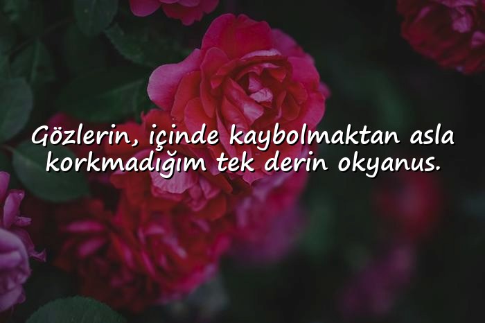 resimli sevgi sözleri - 16