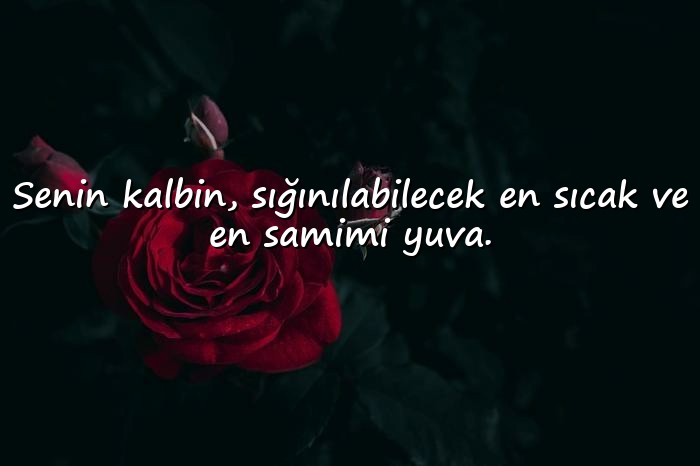 resimli sevgi sözleri - 6
