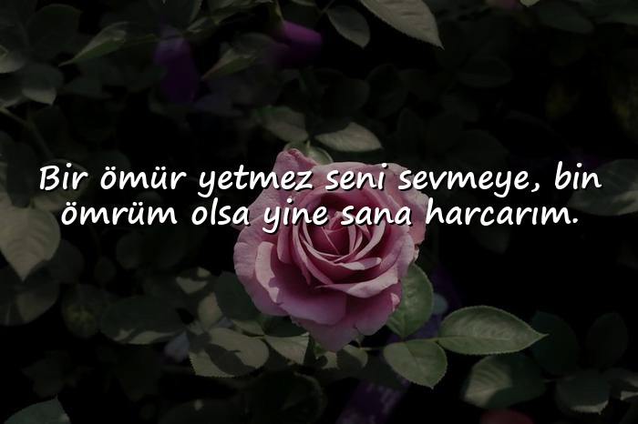 resimli sevgili sözleri - 15