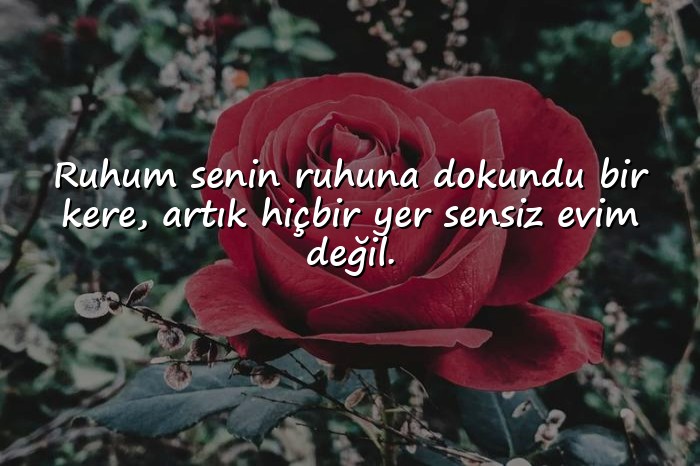 resimli sevgili sözleri - 10