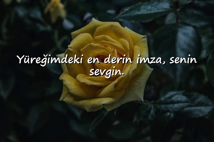 resimli sevgili sözleri - 25