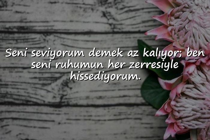 resimli sevgili sözleri - 1